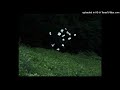 (free) organic ambient + G0bln type beat