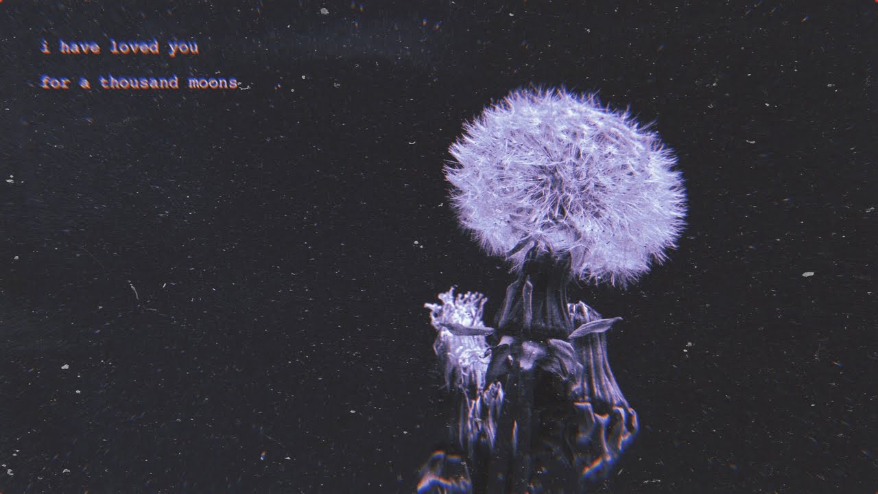 mesmi - A Thousand Moons (Official Lyric Video)