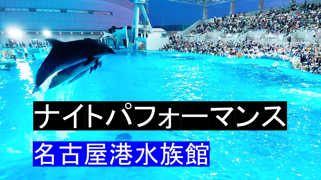 イルカ ナイトパフォーマンス 名古屋港水族館 2026/5/5 - YouTube