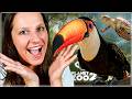 Planet Zoo 2 FINALLY Revealed! I Was NOT Ready For THIS! | Aviaries, Aquariums & More!