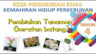 Pembiakan Tanaman (keratan batang) | KH perkebunan | Tahun 4 KSSRPK Pembiakan Tanaman (keratan batang) | KH perkebunan | Tahun 4 KSSRPK