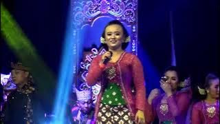 kelinci ucul guyon maton percil cs 2022