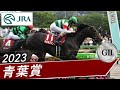 2023年 青葉賞 G スキルヴィング JRA公式 2023年 青葉賞 G スキルヴィング JRA公式