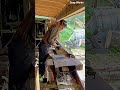 전통 목공 기계를 이용한 건축 가구용 원목 자재 준비 공정 #worker #process #woodworking #machinery #rawmaterial