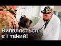 🐶 В Україні діє військовий шпиталь для тварин! Осколки витягували навіть з верблюда