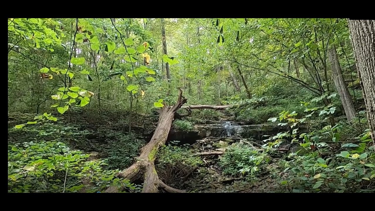 Leonard Springs Nature Park, Bloomington, Indiana YouTube