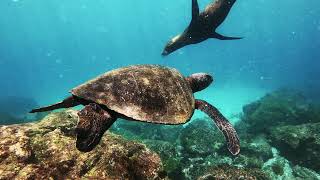 Safe Tourism In The Ionian Islands