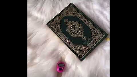 القرآن الكريم ربيع القلوب اللهم آجعله ربيع قلبي 🌸💚حالات واتس اب