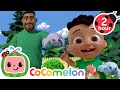 Anansi the Spider Song 🕷️ CoComelon Cody Time | Nursery Rhymes and Kids Songs | After School Club