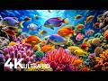 Marvel at Sea Animal in The Best 4K ULTRA HD Aquarium-Dive Into The Mesmerizing Underwater Realm #36