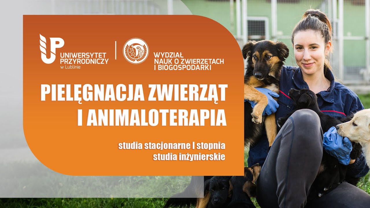 Pielęgnacja Zwierząt i Animaloterapia - YouTube