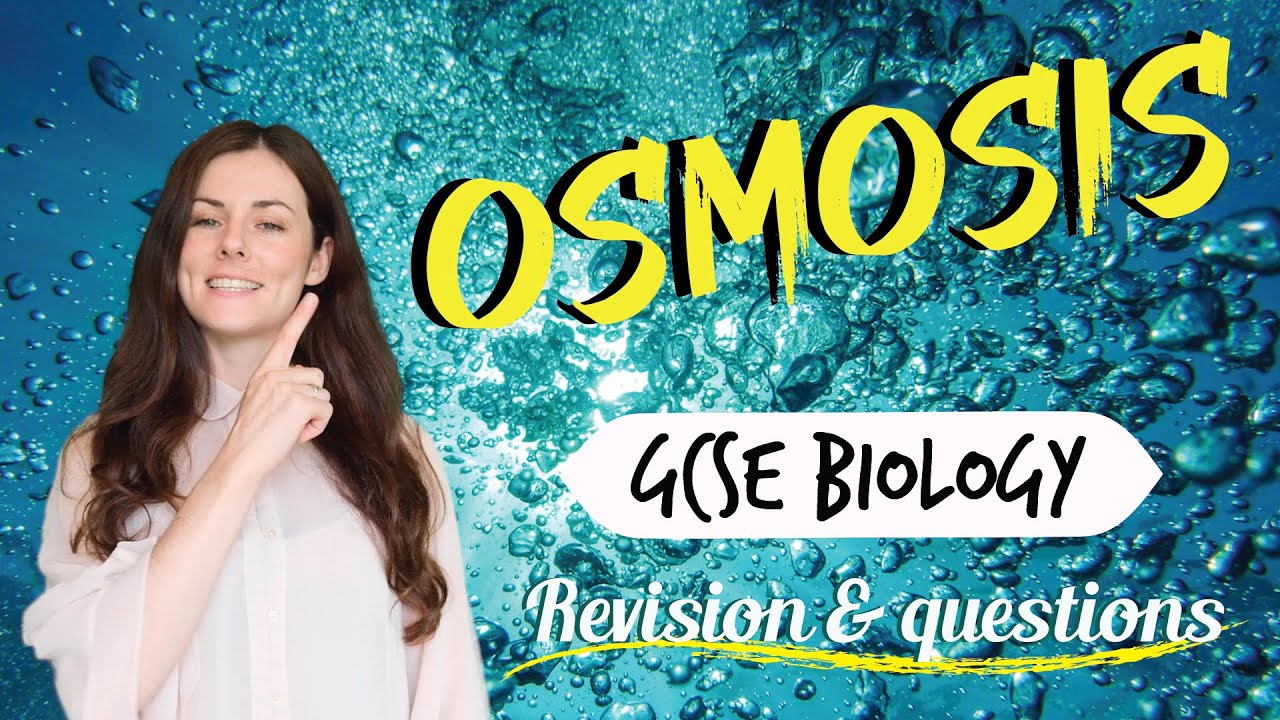OSMOSIS GCSE Biology 9-1 | Combined Sci (Revision & Questions) - YouTube