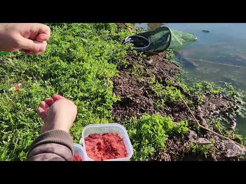 Video: Cât de mare este lacul Piru?