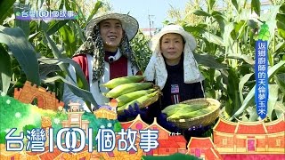 台灣1001個故事 20170305【全集】