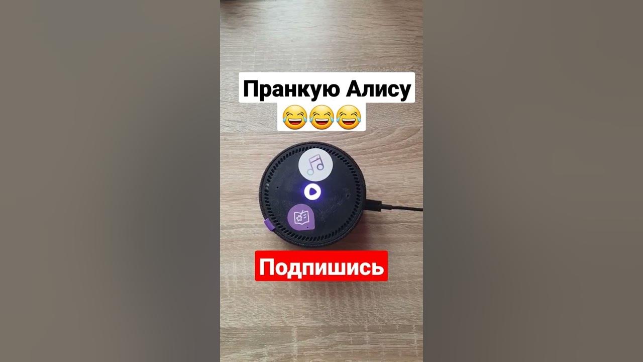 Умная алиса по фото с телефона Голосовая помощница "Алиса" из "Яндекс.Навигатора" научилась определять песни