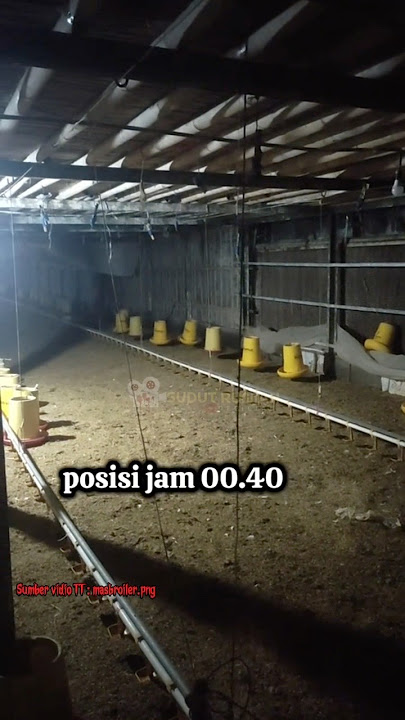 KANDANG AYAM KALO MALEM EMANG NGERI C*K😵‍💫😱 #trending #shorts #pocong #creepy #misteri #seram