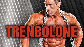 DON'T TAKE TREN || Trenbolone Explained