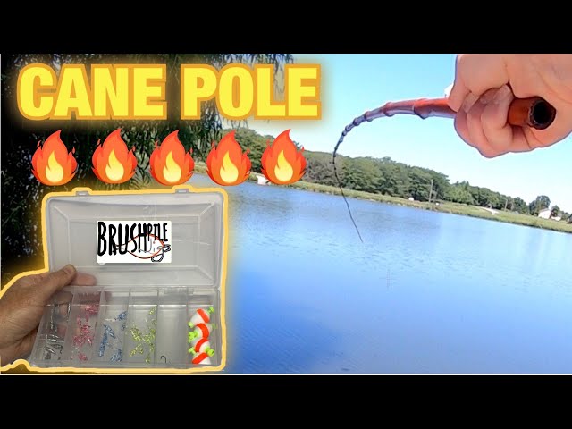 Fishing With a CANE POLE Using ARTIFICIAL Bait 
