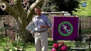 2014 White House Easter Egg Roll