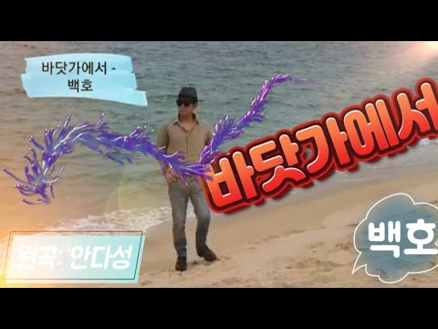 바닷가에서 - 백호