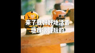 201908 来了就好好地活着 地球很好玩的51288