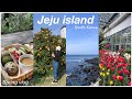 4 days in jeju island vlog  what i ate cafe  local food osulloc tea museum hiking hallasan 