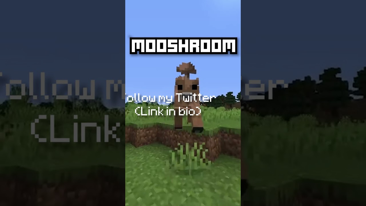 THE OLDEST MINECRAFT MOB 