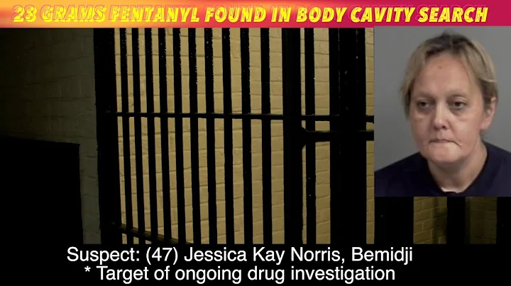 Bemidji Woman Facing Drug Trafficking Charge