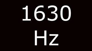 1630 Hz Frequency Test