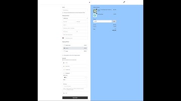 Klarna, Ideal, Bancontact P24 etc In Shopify Store Though Stripe Payment