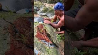 The process of finding gold | finding gold in bedrock fragments | worth $250 May 2026‼️
