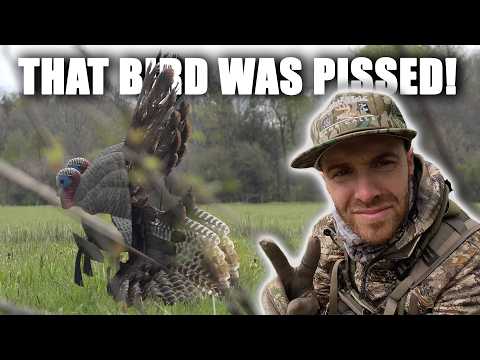New York Turkey Hunting Got TOUGH Fast…
