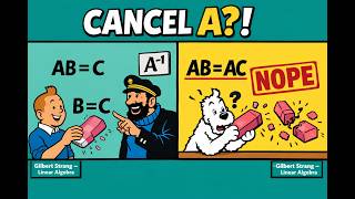 Ch2S5P6 | Linear Algebra Trap – AB=AC but B ≠ C?! Revealed