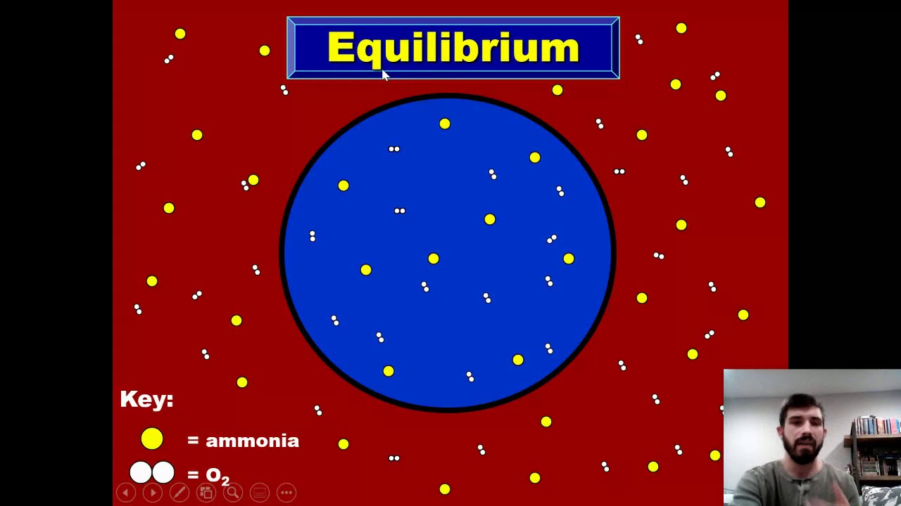 Cell Transport Edpuzzle YouTube
