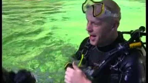 Shark attack survivor