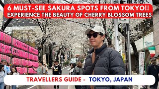 6 Must-See Cherry Blossom Trees from Tokyo, Japan