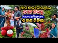 ଆଜି ସାଳି ଡାକିଥିଲେ ଘରକୁ 😳😍 || Odia Comedy || Odia Family Comedy || Odia Vlog || Sasmita Queen