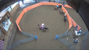 Big Sky Ranch Sorting Saddle Series #3 - Open H/C - Round #2 - Ride #4