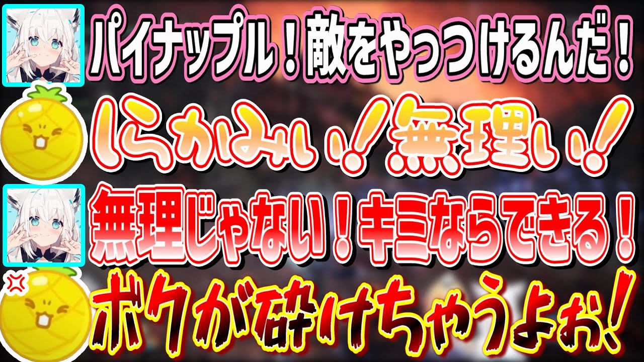 パイナップル君を玉砕させようとするフブちゃんと秒で拒否するパイナップル君【不知火フレア/白上フブキ/ホロライブ切り抜き】