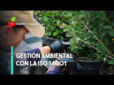 Sistema de Gestión Ambiental: Mejora la Sostenibilidad de tu Empresa