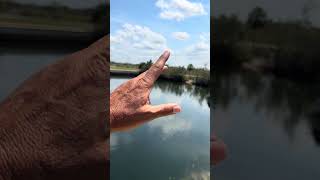 4104 CAMELIA DR HERNANDO BEACH FL 34607 4104 CAMELIA DR HERNANDO BEACH FL 34607