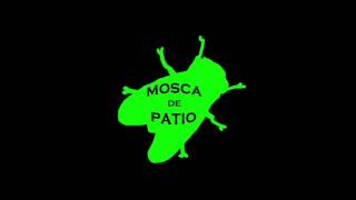 Video thumbnail of "Mosca de Patio - No me sigas más  ¡¡ADELANTO!!"