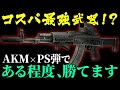 【タルコフ】AKMはコスパ最強?!PS弾でも"ある程度"は勝てます
