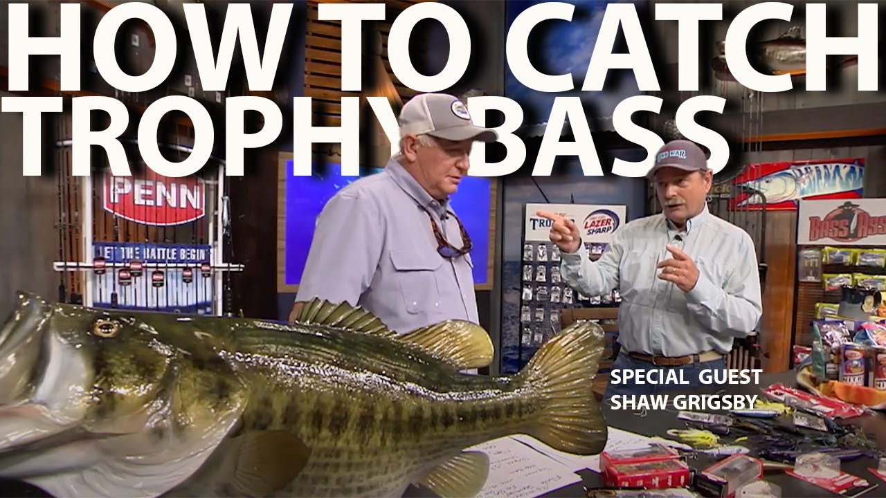 Bass Fishing in Florida: Pro Tips from Shaw Grigsby