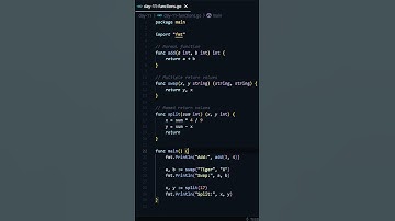 Functions in GoLang 😎 | Day 11 of 90 Days Challenge 💻