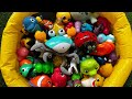 Sea Animal Toys &amp; Facts for Kids | Learn Ocean Creatures for Preschool Learning| ocean creatures