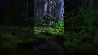 The Abandoned Shelter #CinematicVideo #Aesthetic #VisualAmbience #NaturePhotography #MiniatureWorld