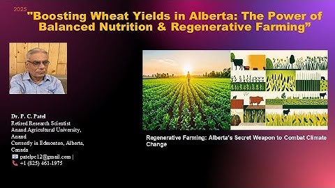 Boosting Wheat Yields in Alberta: Balanced Nutrition & Regenerative Farming- Dr. P. C. Patel