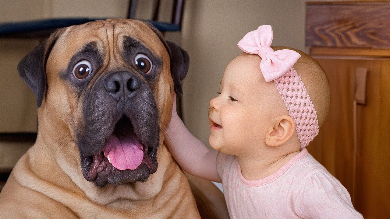 Perros Graciosos y Lindo Bebé 👶🐶 Intenta No Reír con Animales de Risa ...