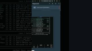 GonziniXV C2 vs Magmanode Panel Minecraft Host | Best C2 | Cheap C2 |